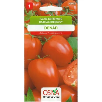 Semeno Rajče keříčkové Denár (hranaté) 12/2025