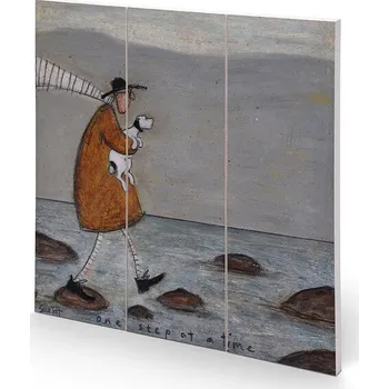 Obraz Dřevěný obraz Sam Toft - One Step At A Time