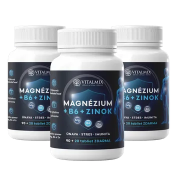 VITALMIX MAGNÉZIUM+B6+ZINOK 3 x (90+20tbl)