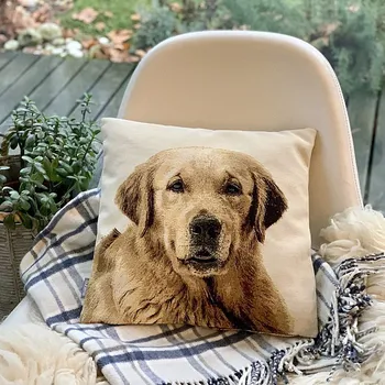 Dekorativní polštářek BYTEMA Gobelínový povlak na polštář PES LABRADOR 45 x 45 cm