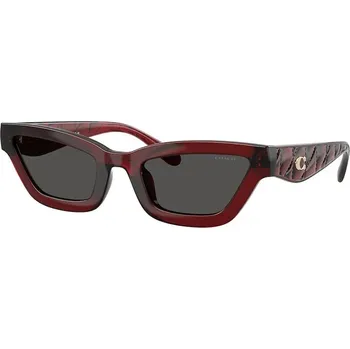 Sluneční brýle Sluneční brýle Coach 0HC8420U oranžová 28X, vel. 55