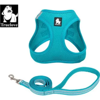 Postroj pro psa Sada postroj a vodítko pro malé psy/kočky tyrkys XS