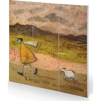Obraz Dřevěný obraz Sam Toft - Racing The Clouds Home