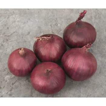 Semeno Cibule sazečka Red Light F1 (červená) 250 g