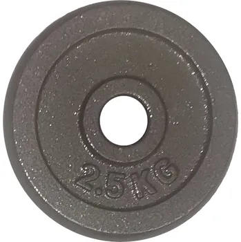 Kotouč litinový 30 mm - 2,5 kg (šedý)