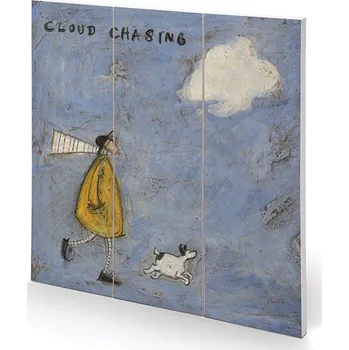 Obraz Dřevěný obraz Sam Toft - Cloud Chasing