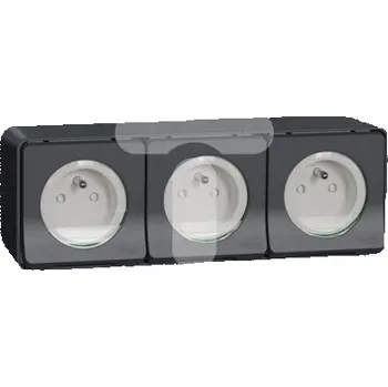 Elektrická zásuvka Hermetická Elektrická Zásuvka Schneider Electric černá