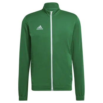 Adidas Teamsport Entrada 22 zelená/bílá UK L