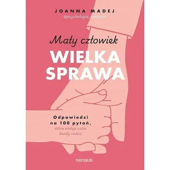 Malý člověk, velká věc. Odpovědi na 100 otázek, které si klade.