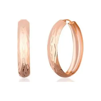 Náušnice Náušnice 925/1000 - SVLE1516XH2RO50 JVD SVLE1516XH2RO50