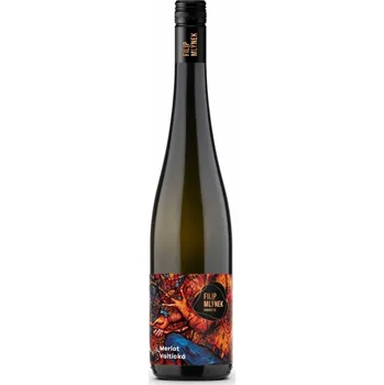 Víno Vinařství Filip Mlýnek Merlot 2024 výběr z hroznů suché 0,75 l
