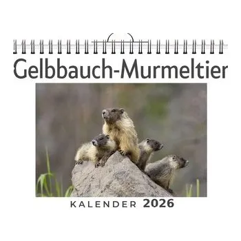 Cestování Gelbbauch-Murmeltier - Neumann, Matteo