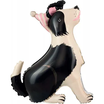 Balónek Fóliový balónek STOJÍCÍ PES Border kolie dekorace narozeniny psi PP