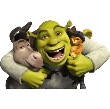 Fototapeta Nažehlovačka Termo Aplikace Nálepka na Oblečení Shrek postavy z filmu