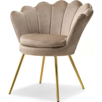 Křeslo Mebel Partner Laziam (béžová + zlatá)
