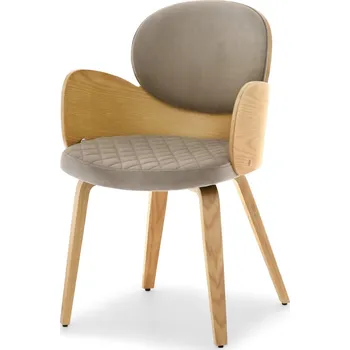Křeslo Mebel Partner Ahogar (béžová + dub)
