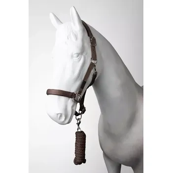 Ohlávka s vodítkem HORZE Lucca oříšková FULL