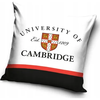 Povlak na dekorativní polštářek Povlak na polštáře 40 x 40 cm Carbotex