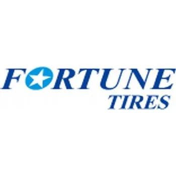 Zimní osobní pneu Zimní pneumatika Fortune Snowfun FSR-901 255/45 R18 103 W s přilnavostí na sněhu (3PMSF)