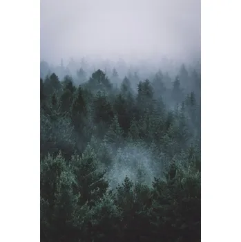 Obraz PUZZLE LES MLHA ZELEŇ Stromy + JMÉNO Krabička 120 dílků.