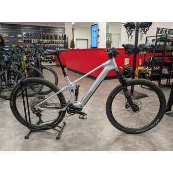 Elektrokolo Raymon Airok (bazar) 2025 silver L