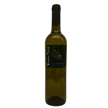 Víno Cuvée Pod lipú 2024, moravské zemské víno, Vinařství Těthal, suché