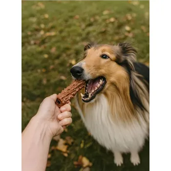 Hračka pro psa Sinsay - Hračka pro psa - hnědá - 107BV-82X - 107BV-82X-ONE-4