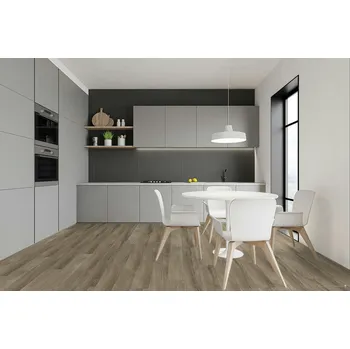 vinylová podlaha Vinylová podlaha celoplošně lepená FATRA Thermofix pro wood Dub luční 14161-1