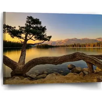 Obraz Sablio Obraz Strom u jezera - 60x40 cm