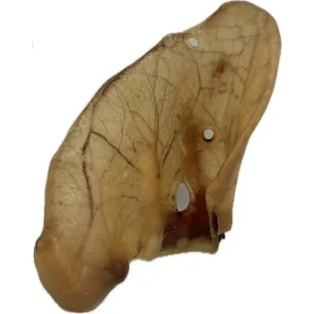 Pamlsek pro psa Ucho vepřové MAXI 50 ks