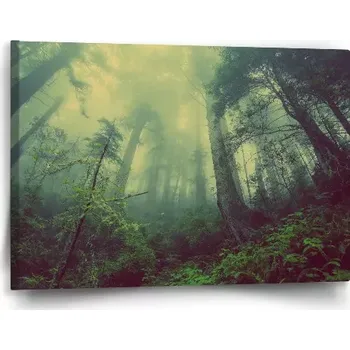 Obraz Sablio Obraz Temný les - 60x40 cm