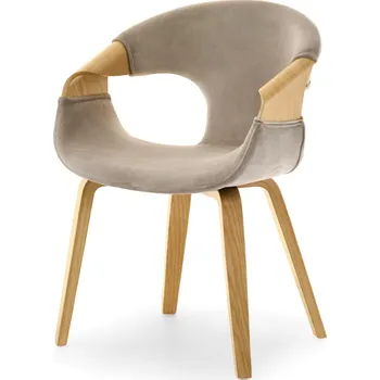 Křeslo Mebel Partner Kwasniewski (béžová + dub)