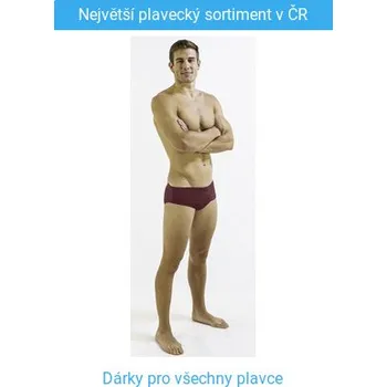 Pánské plavky Finis Aquashort Solid Cabernet 26