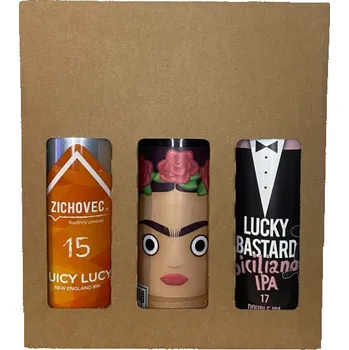 Pivo Degustační krabice CRAFT 6x 0,5l plech ALE