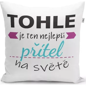 Polštář Sablio Polštář Tohle je ten nejlepší přítel na světě: 40x40 cm
