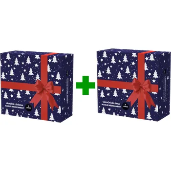 Čaj LEROS Vánoční lékárna Magus medicament sypané čaje 2x