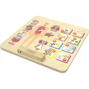 Activity board MASTERKIDZ Tabule - Lidské tělo - Vzdělávací skládačka