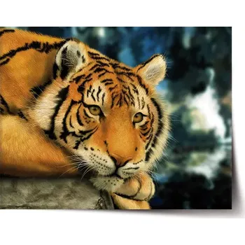 Plakát Sablio Plakát Tygr - 60x40 cm