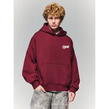 Pánská móda Mikina s&nbsp;kapucí a&nbsp;výšivkou - S - House - kaštanové - 372JS-83X