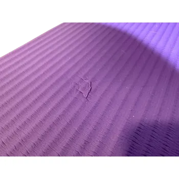 podložka na cvičení TRUESTEEL StrongGear Yoga Mat Délka: 180 cm