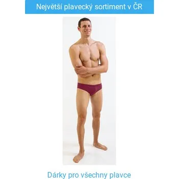 Pánské plavky Pánské plavky Finis Brief Solid Cabernet 28