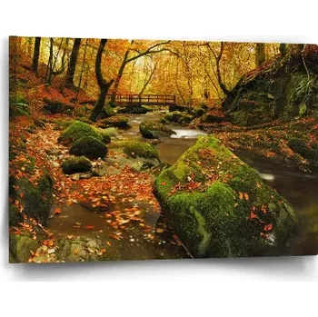 Obraz Sablio Obraz Most v lese - 60x40 cm