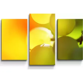 Víno Sablio Obraz - 3-dílný Hroznové víno - 75x50 cm