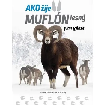Příroda Ako žije muflón lesný - Ivan Kňaze
