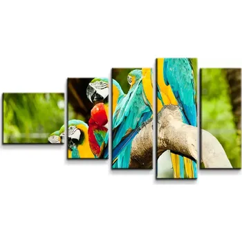 Obraz Sablio Obraz - 5-dílný Papoušci na větvi - 100x60 cm
