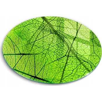 Obraz Kuchyňská deska z prémiové kolekce s dekorativním motivem žilek listů – příroda