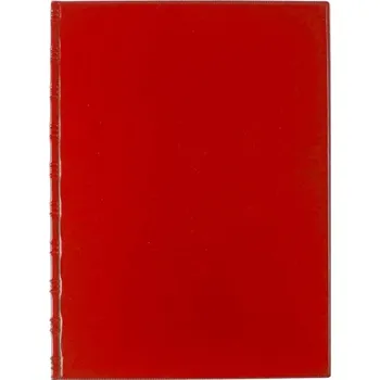 Karton P+P Desky Sporo - kapsy boční / červená 30047