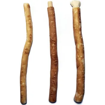 Zubní kartáček Přírodní zubní kartáček známý v arabských zemích jako siwak, miswak, meswak nebo arak