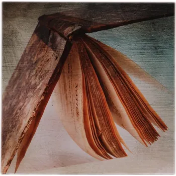 Obraz Obraz Kniha 30x30 cm
