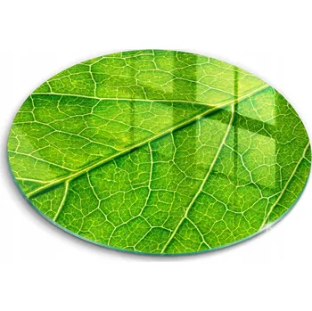 Obraz Krájecí deska Wallfluent sklo 1 ks